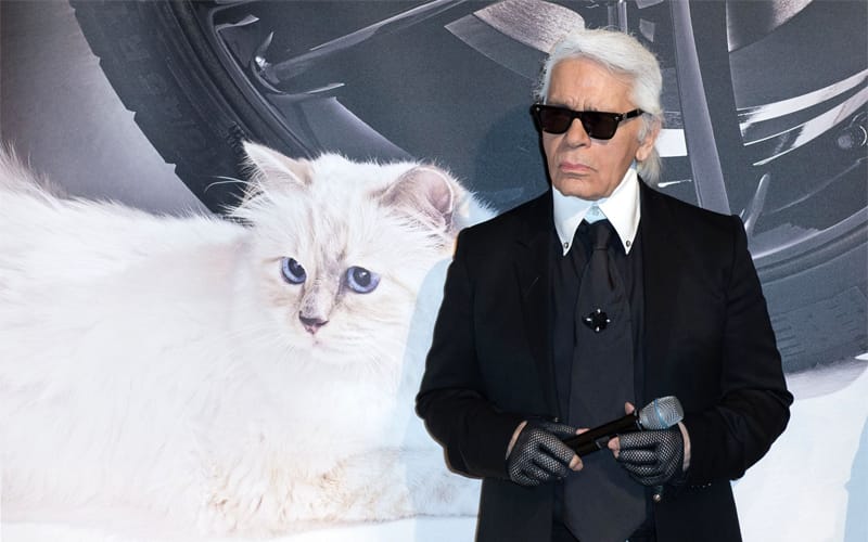 Karl Lagerfeld ဆီက ဒေါ်လာ (၂ဝဝ) သန်း အမွေရဖွယ်ရှိတဲ့ ကြောင်မလေး Choupette