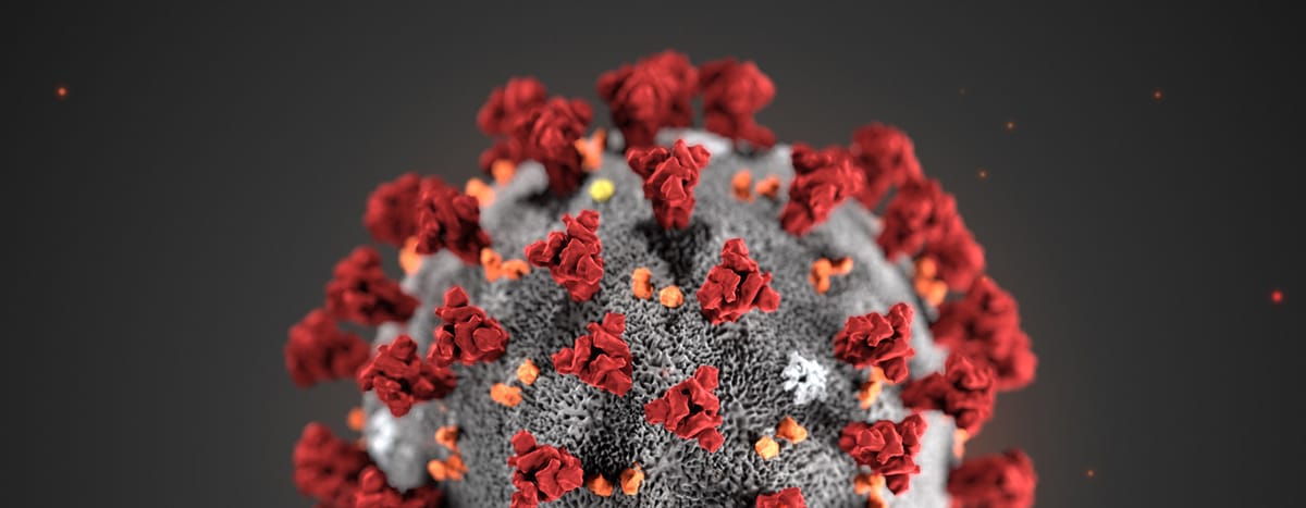 ကိုရိုနာဗိုင်းရပ်စ်ကအရာဝတ္တု တွေပေါ်မှာဘယ်လောက်ကြာကြာနေနိုင်လဲ