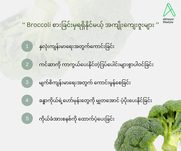 ‘‘ Broccoli စားခြင်းမှရရှိနိုင်မယ့် အကျိုးကျေးဇူးများ ’’